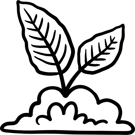 Privát kert 